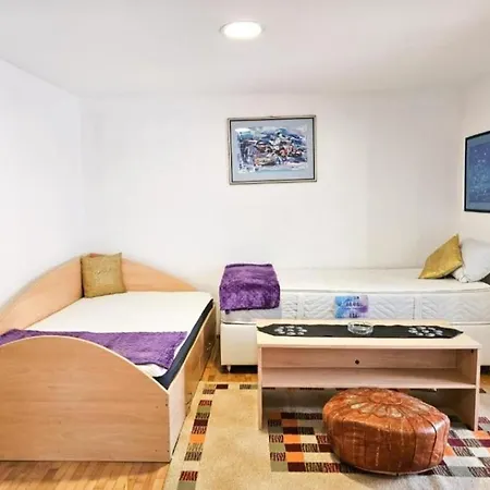 Apartman Ribica Ajan