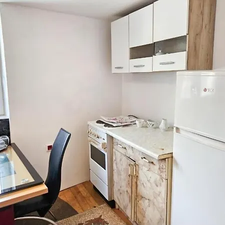 Ribica Ajan Apartman