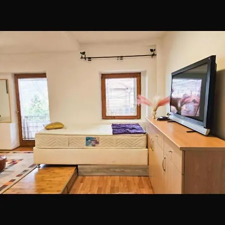 Ribica Ajan Apartman Sarajevo