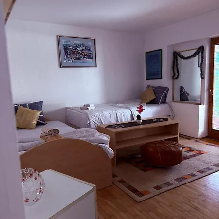 Apartman Ribica Ajan