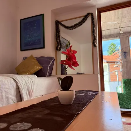 Ribica Ajan Apartman Sarajevo