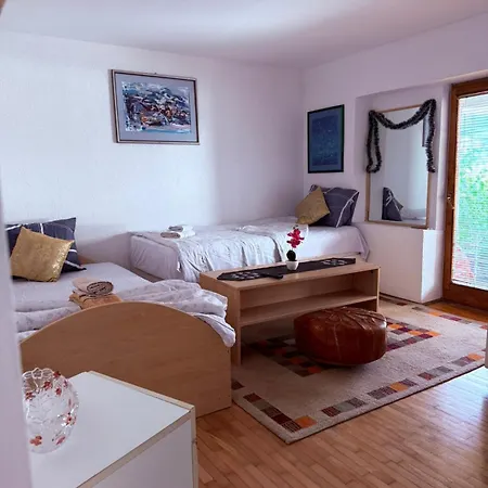 Ribica Ajan Apartman