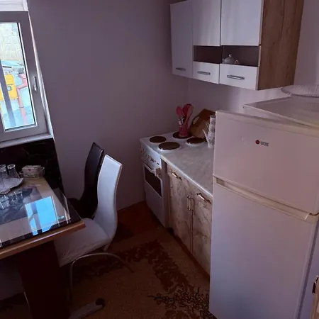 Apartman Ribica Ajan *